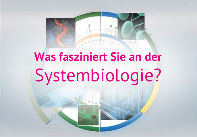 Was fasziniert Sie an der Systembiologie?